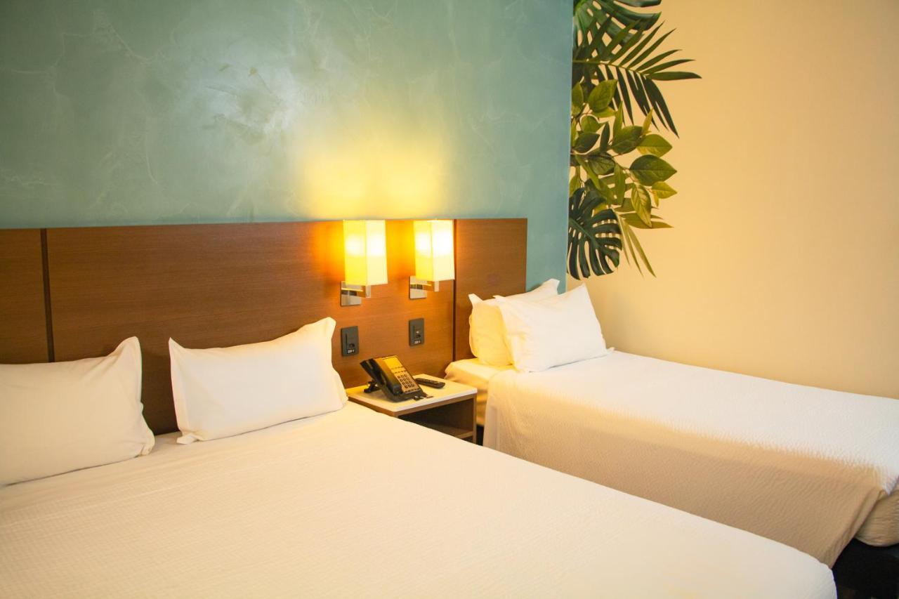 Ibis Styles Curitiba Aeroporto Hotel Sao Jose dos Pinhais Exterior photo